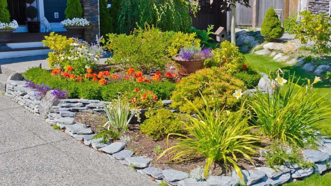 In diesem Beitrag zeigen wir Ihnen die 13 schönsten, immergrünen Bodendecker für Ihren Garten.
