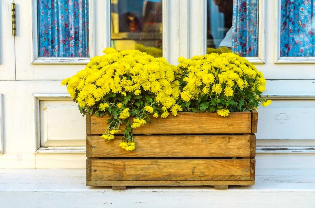 Blumenkasten aus Holz an Hauswand