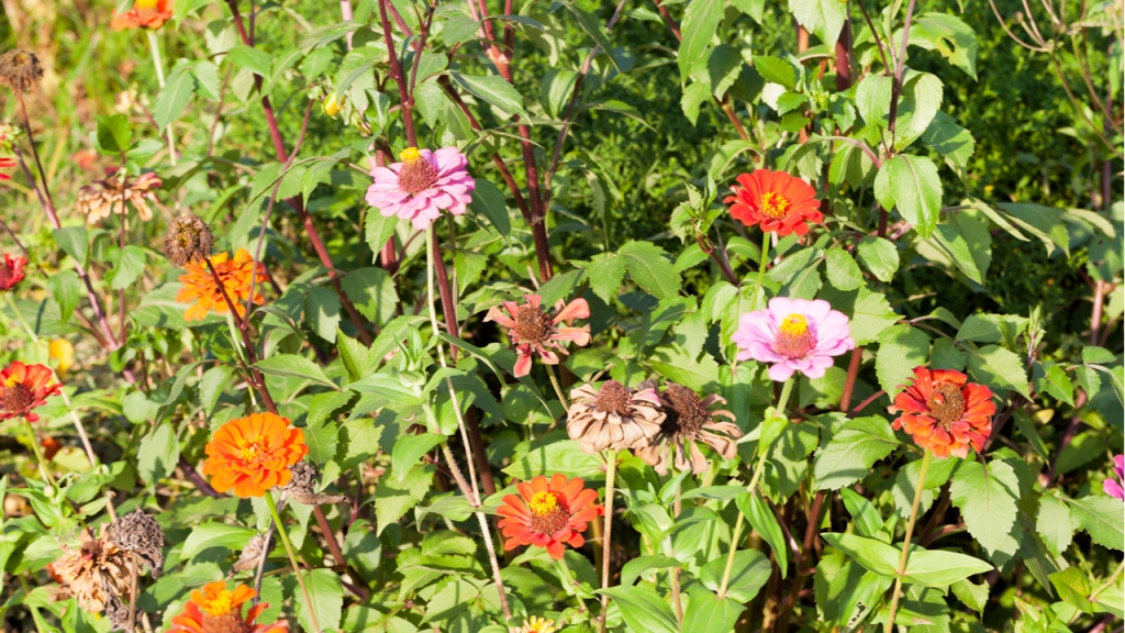 Auch im Garten kann immer etwas schief gehen.