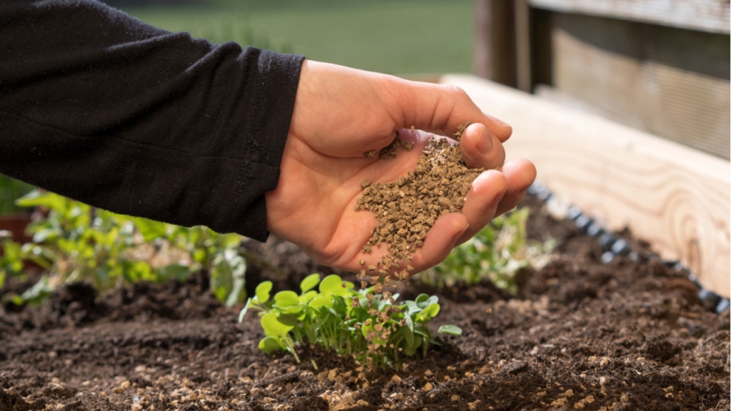 Die meisten Gartenpflanzen blühen und gedeihen besser, wenn sie von Zeit zu Zeit gedüngt werden.