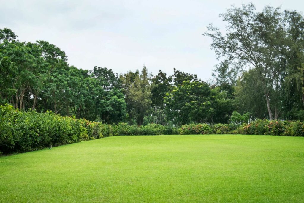 Großer Garten mit Bäumen