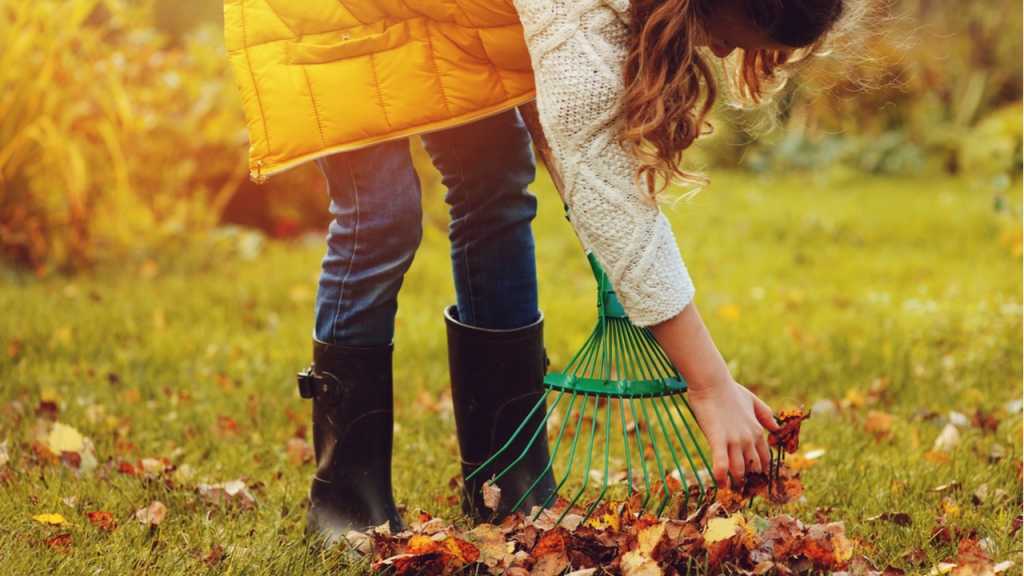 Im November sollte man im Garten den Grundstein für nächstes Jahr legen.