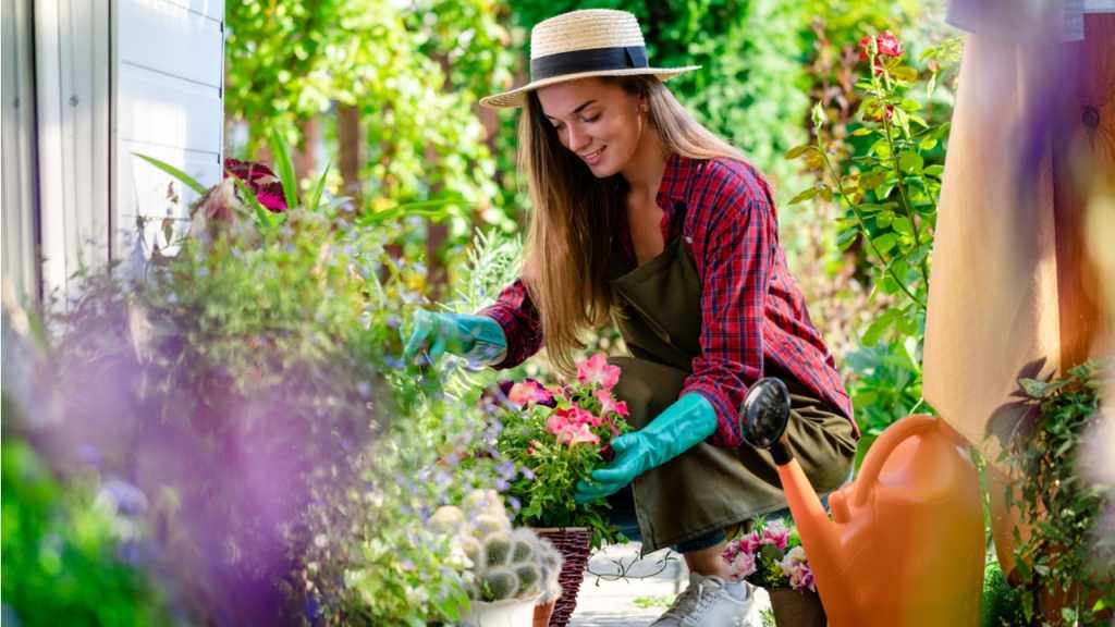 Damit der Garten in voller Pracht blüht, sollten Anfängerfehler verhindert werden.