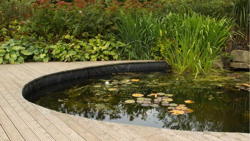 Befindet sich viel Schlamm im Gartenteich, kann die Reinigung mit einem Schlammsauger erfolgen.
