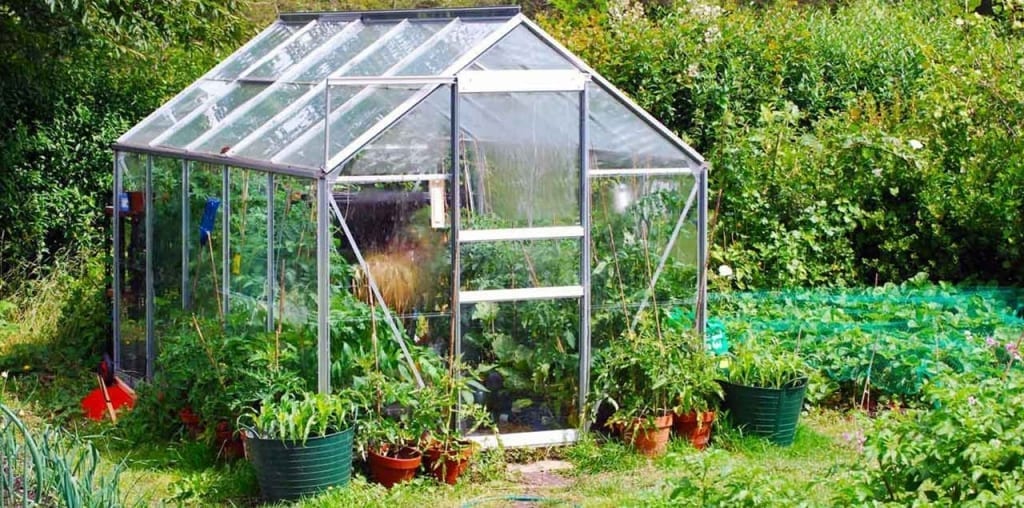 Gewächshaus in einem Garten