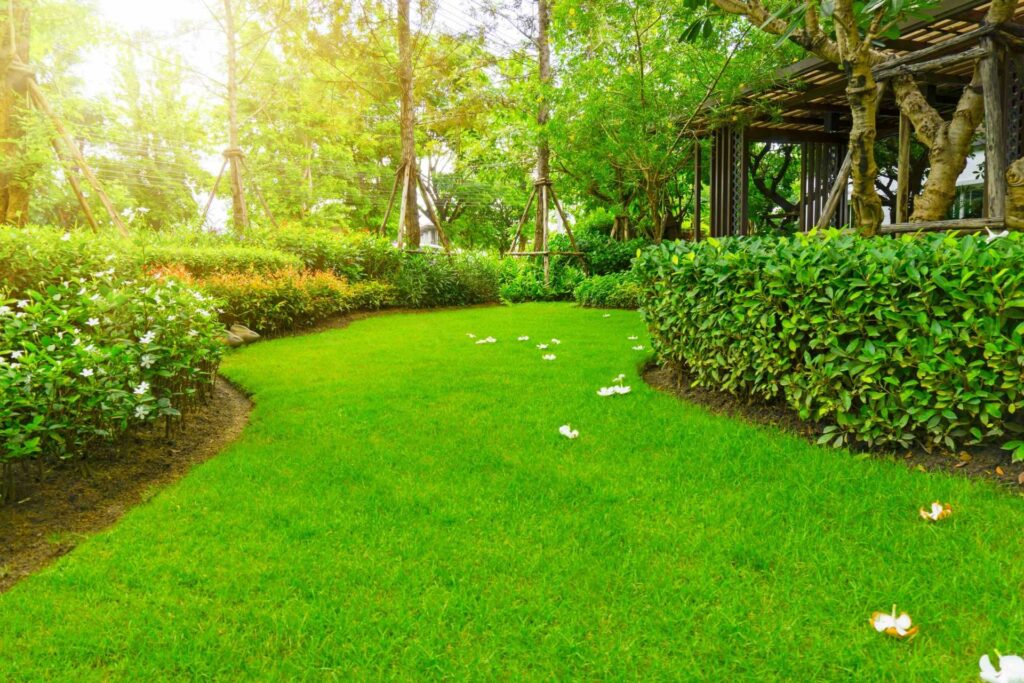 Gartenpflege im Hochsommer des Rasens