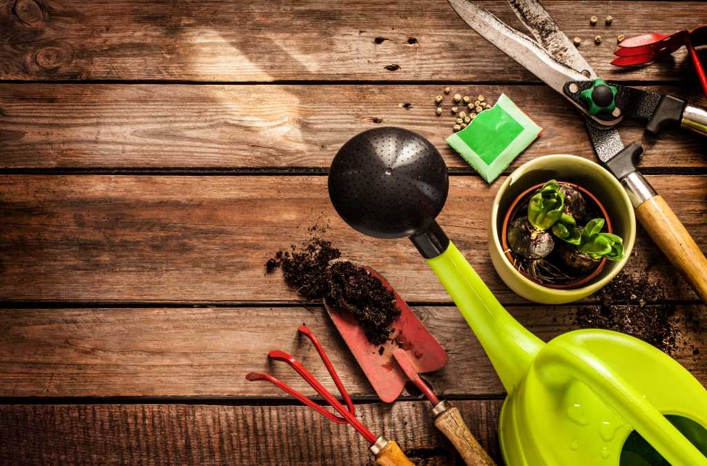 Gartentools zum Pflanzen