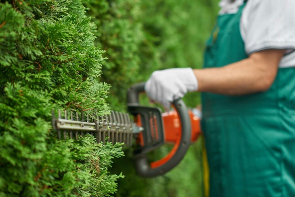Mann schneidet Hecke mit elektrischer Heckenschere zurück