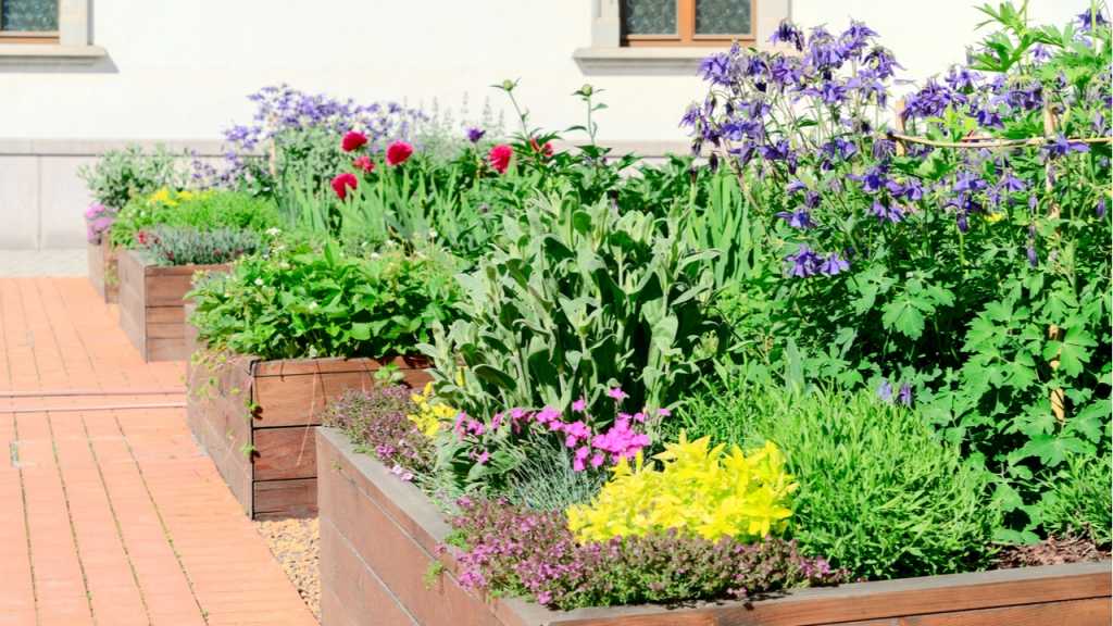 Buntes Hochbeet