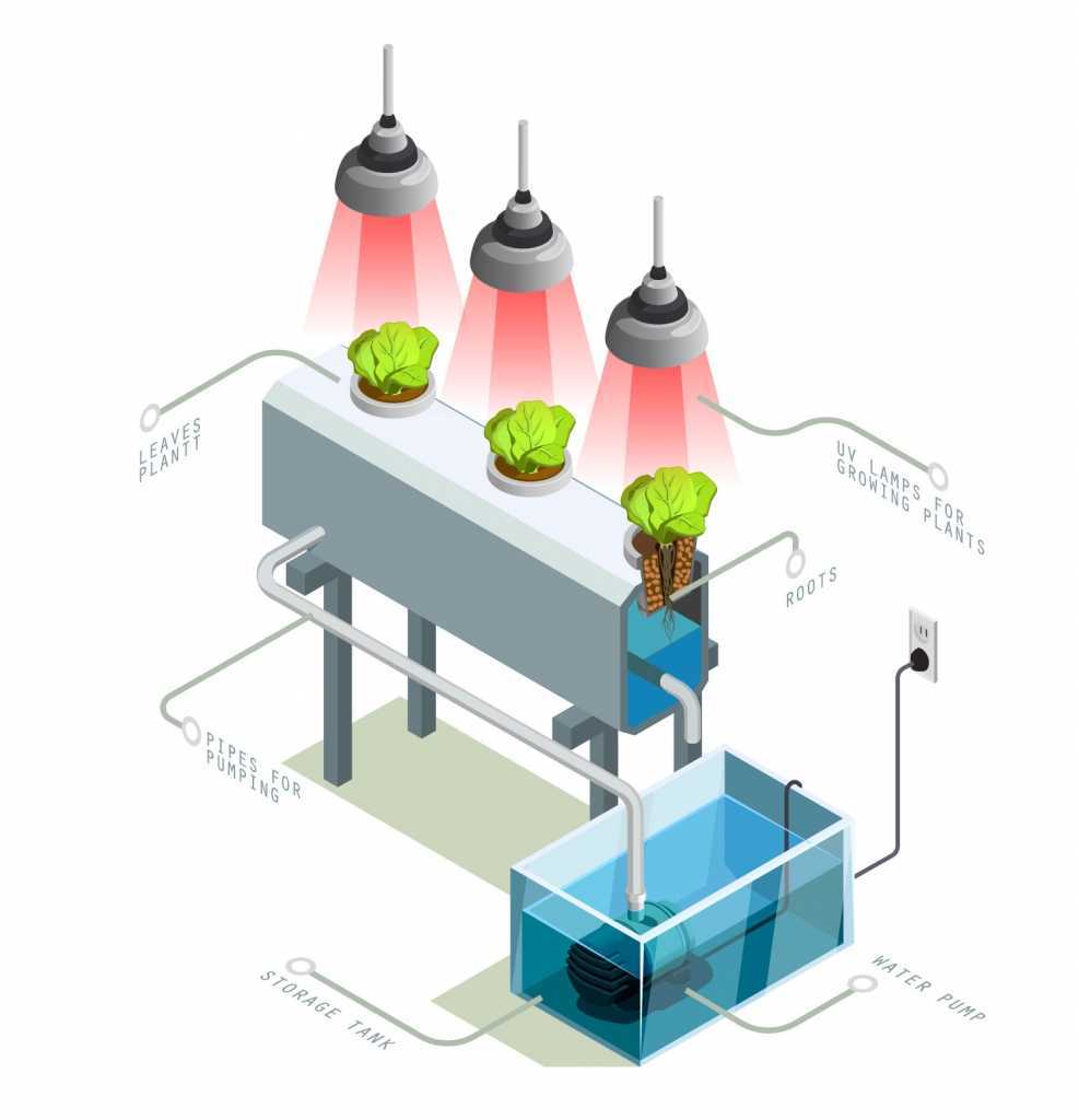 Die Funktionsweise von Hydroponik Systemen in der Übersicht