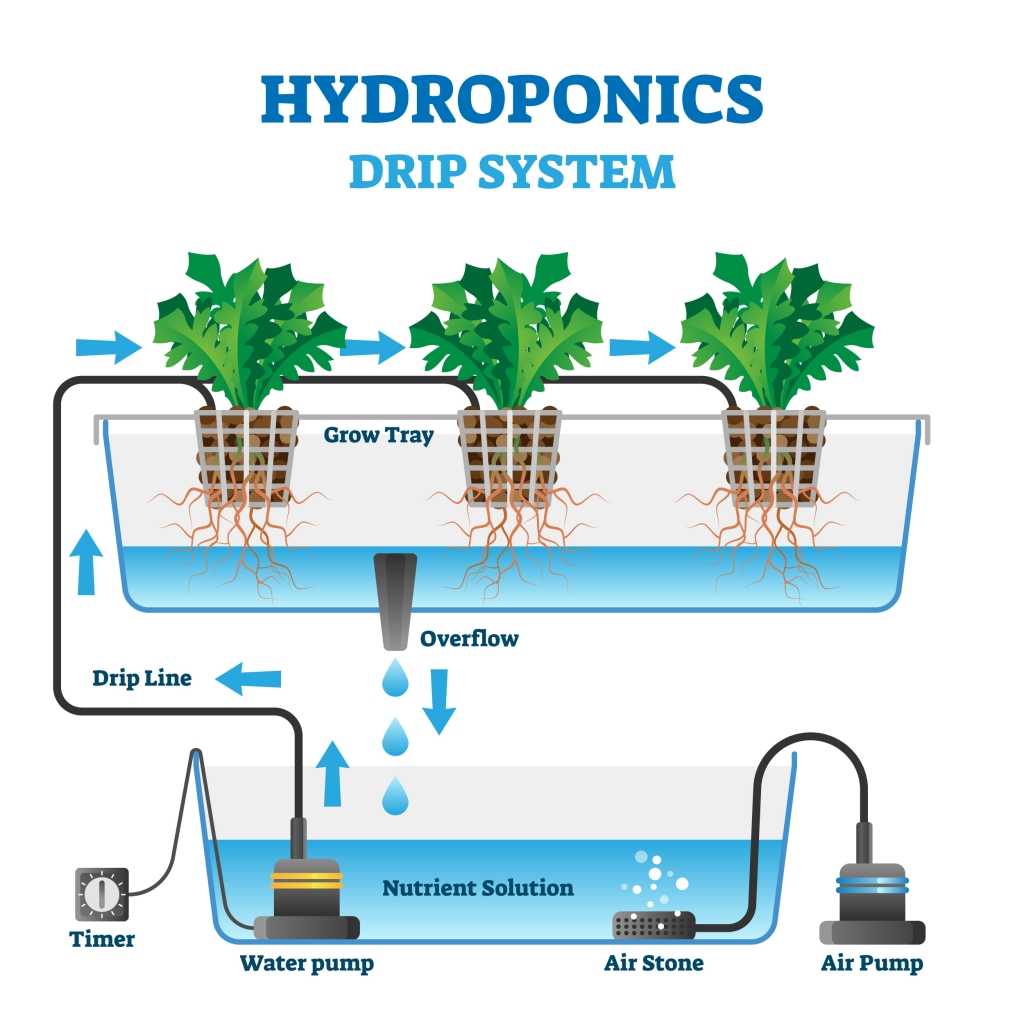 Eines der Hauptsysteme in der Hydroponik ist des Tropfensystem