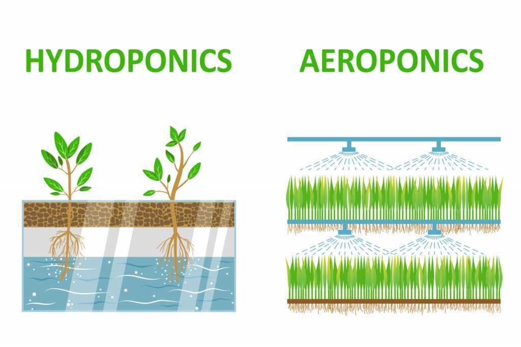 Die Funktionsweise eines Aeroponik Systems