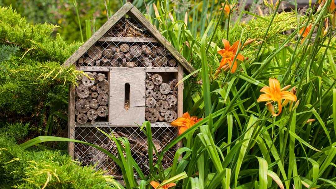 Insektenhotel zwischen Pflanzen