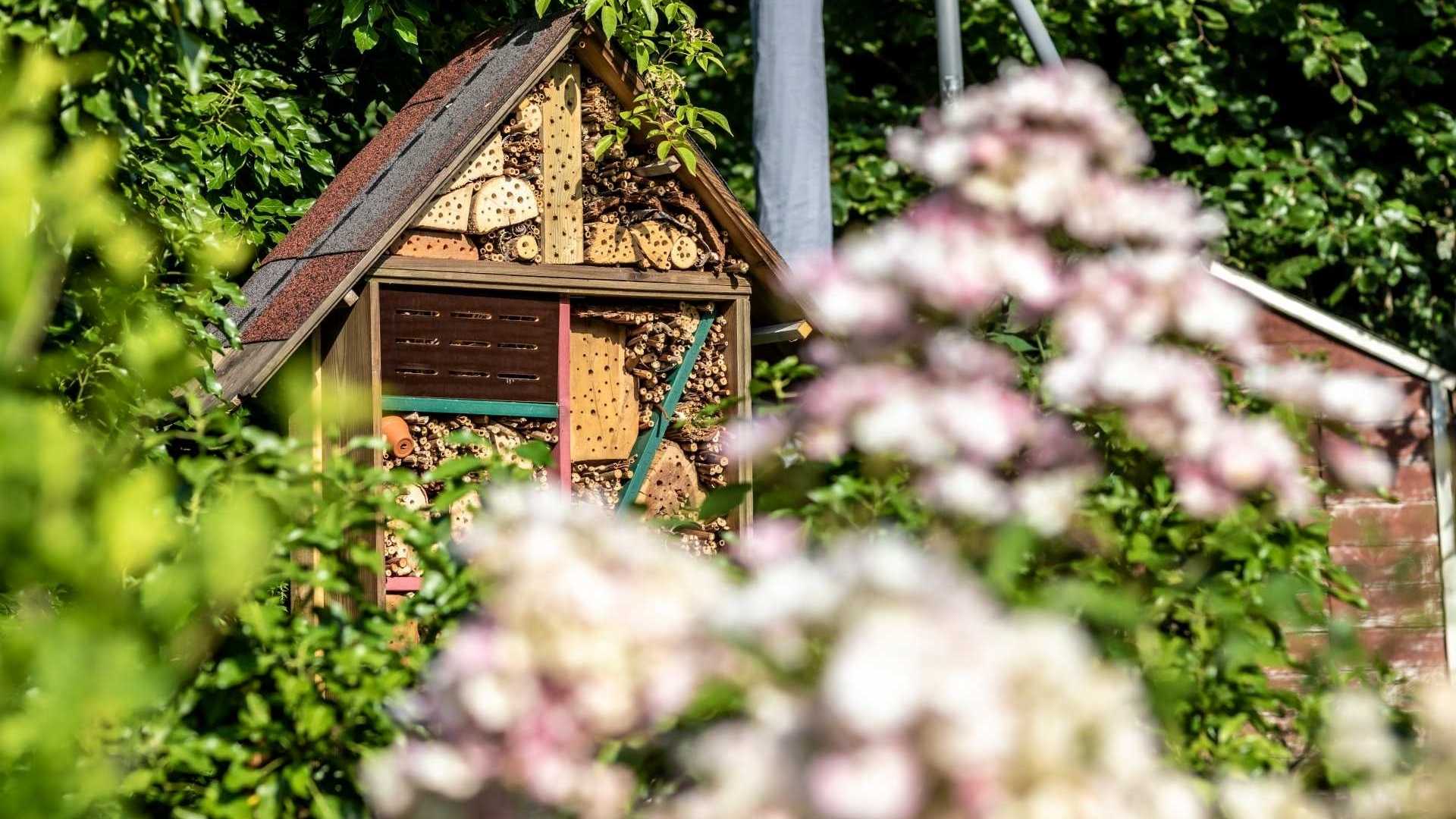 Insektenhotel im Garten selbstgebaut