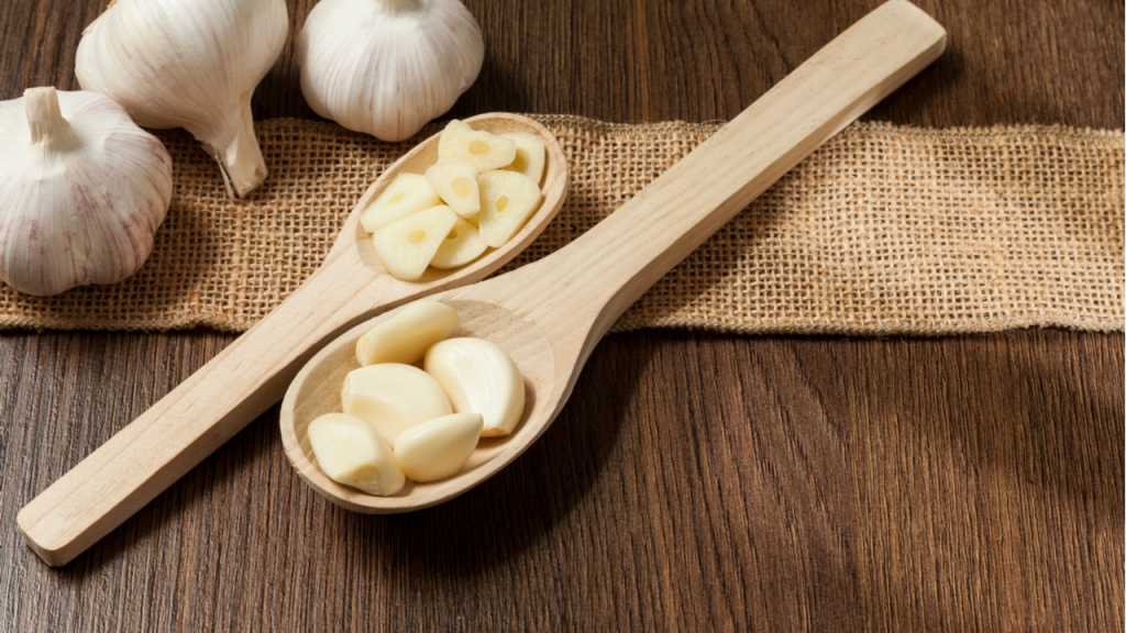 Knoblauch und Zwiebel gegen Blattläuse