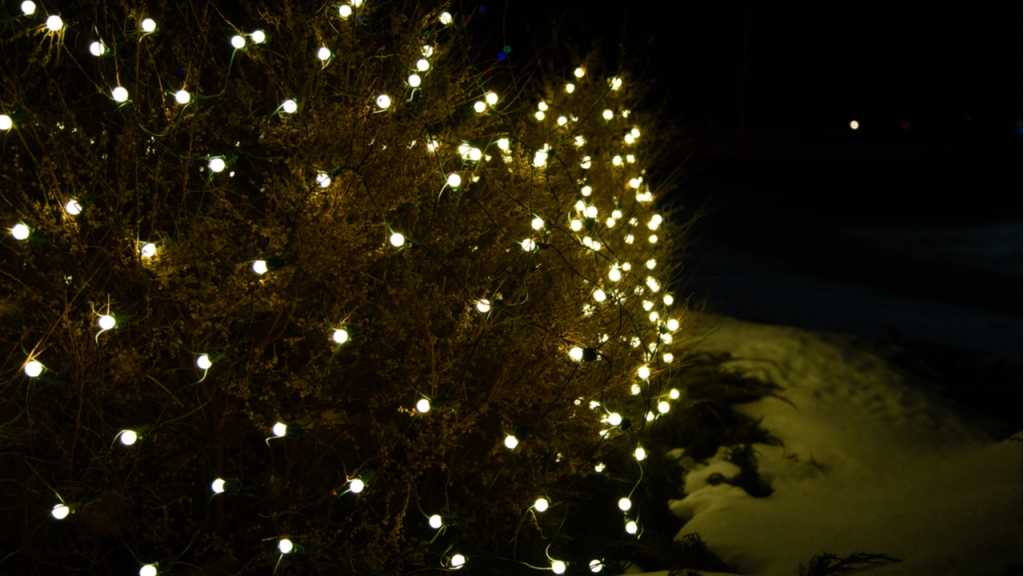 Lichternetze mit integrierter Timerfunktion sind ideal für die Abendstunden.