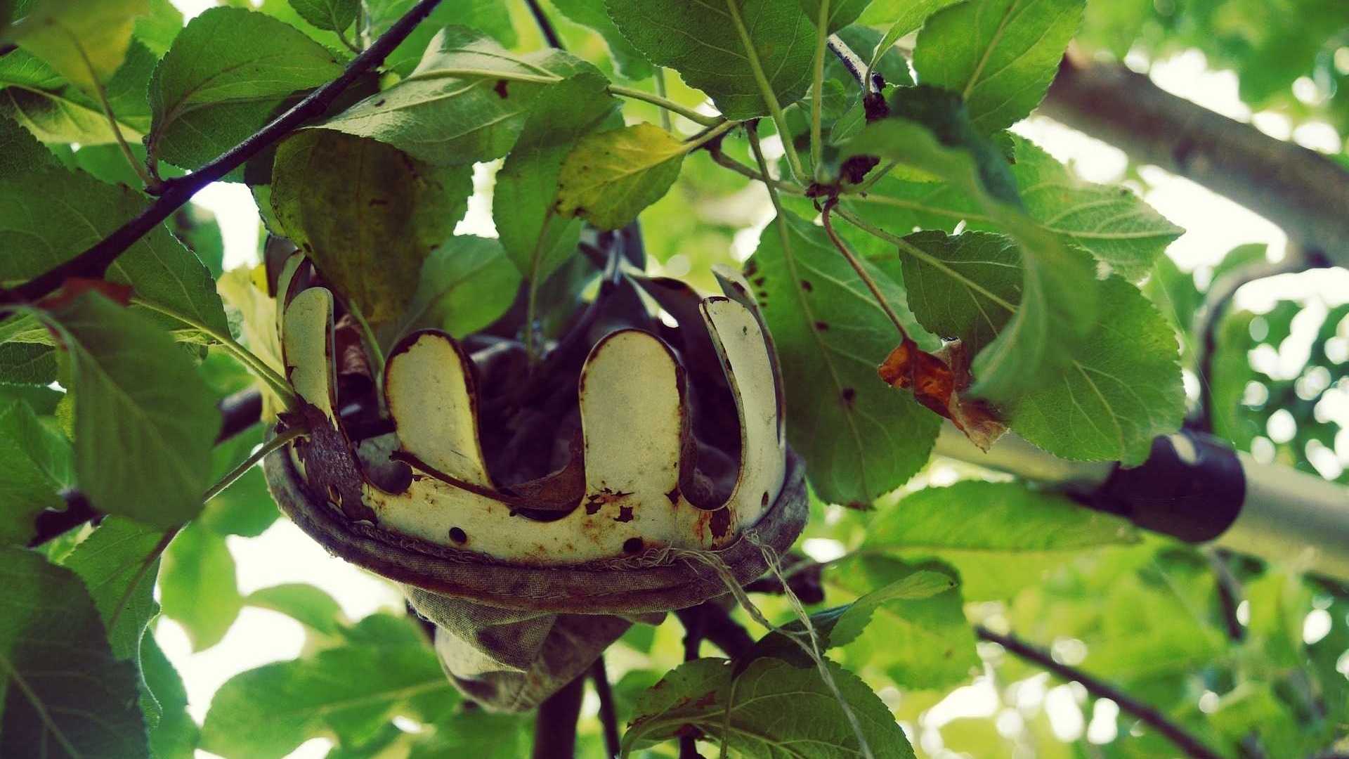 Obstpflücker