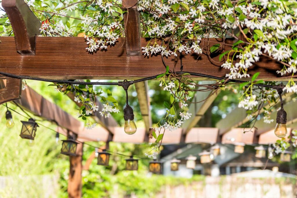 Blüten überdachen die Pergola. Stimmungslichter verleihen der Pergola einen romantischen und natürlichen Look.