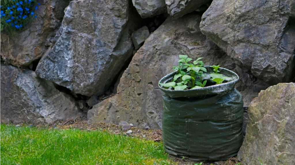 Pflanztaschen sind langlebig und daher wieder verwendbar.