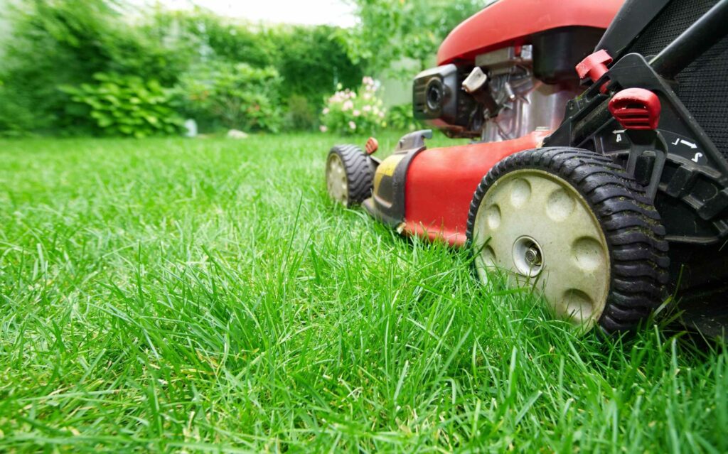 Rasenmäher mäht hohes Gras