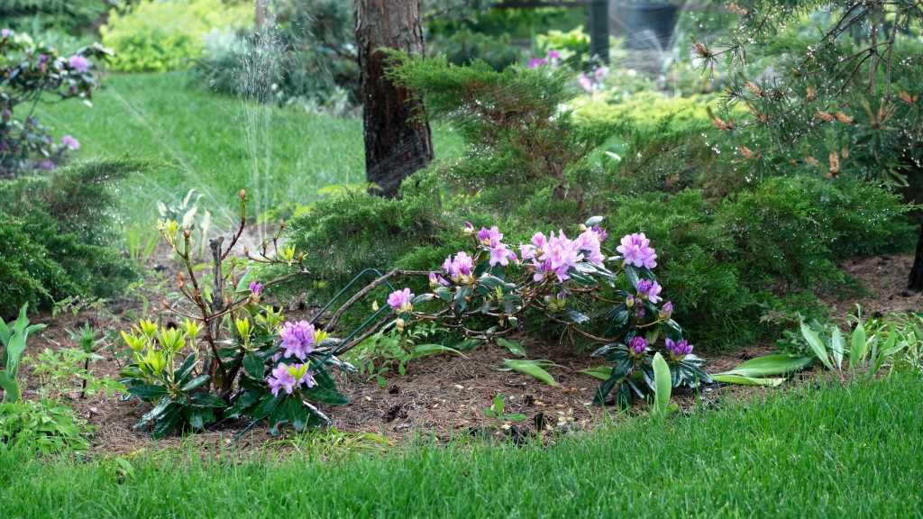 Bei Sommerhitze den Garten gießen mit Rasensprenger