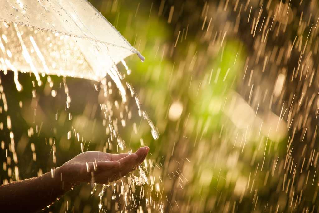 Sommer Abkühlung Regendusche