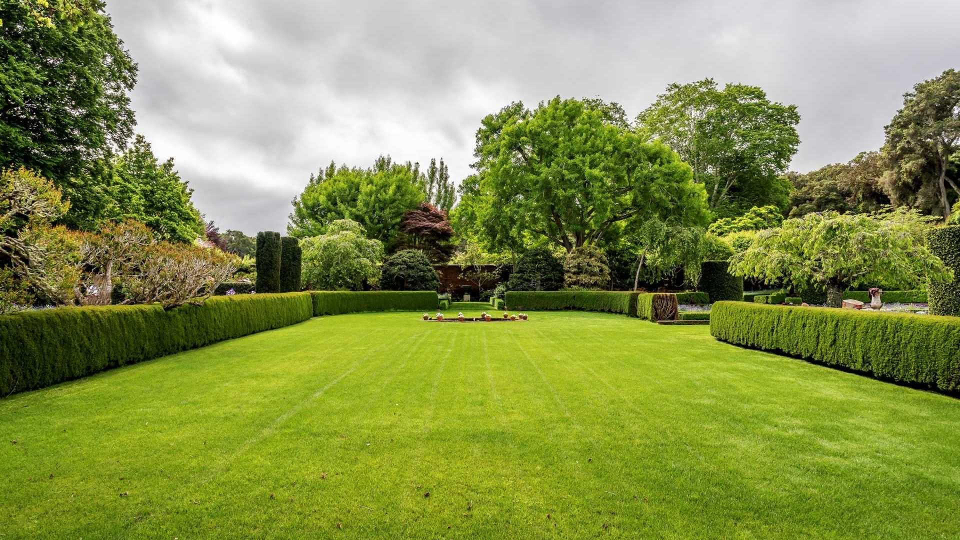 Englischer Garten mit einer Begrünung und einer umrahmenden Hecke