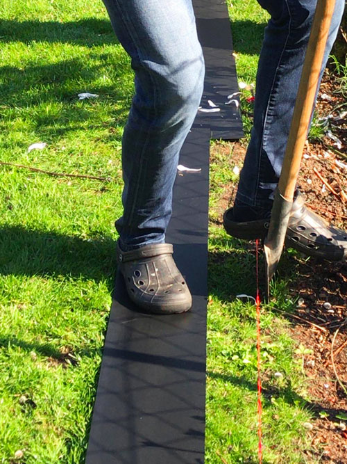 Im zweiten Schritt wird der Graben abgesteckt. Um die Wurzelschutzplatten einsetzen zu können, muss ein schmaler Graben entlang des festgelegten Verlaufs angelegt werden.