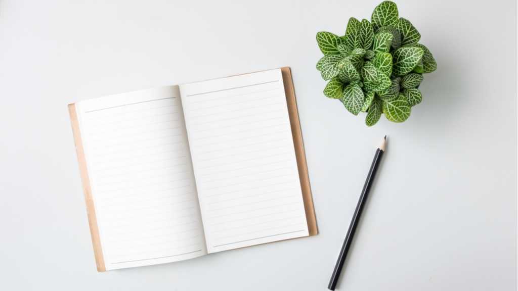 In einem Pflanzenjournal können die Fortschritte und Pflegehinweise von Zimmerpflanzen vermerkt werden.