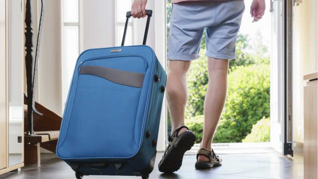 Eine Urlaubsvertretung ist beim Pflanzen Gießen dringend notwendig.