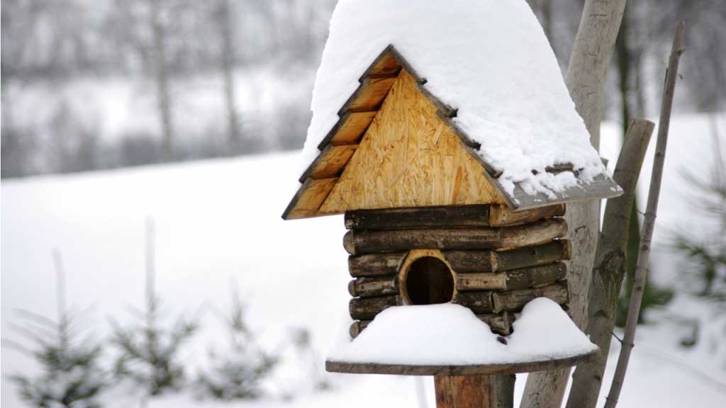 Ein gut gebautes Vogelhaus kann Schnee gut Stand halten.