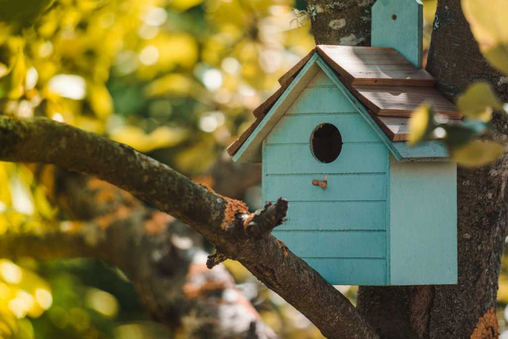 Vogelhaus im Baum