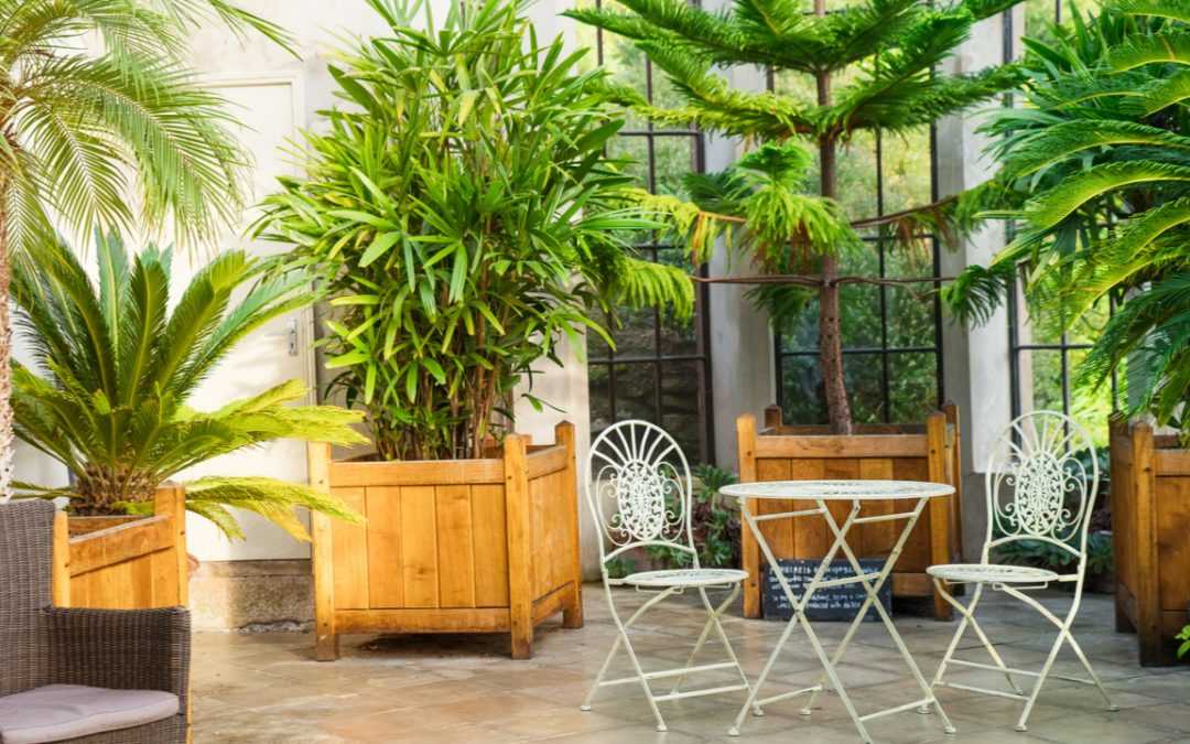 Wintergarten anbauen: 6 Kriterien, die es zu beachten gilt