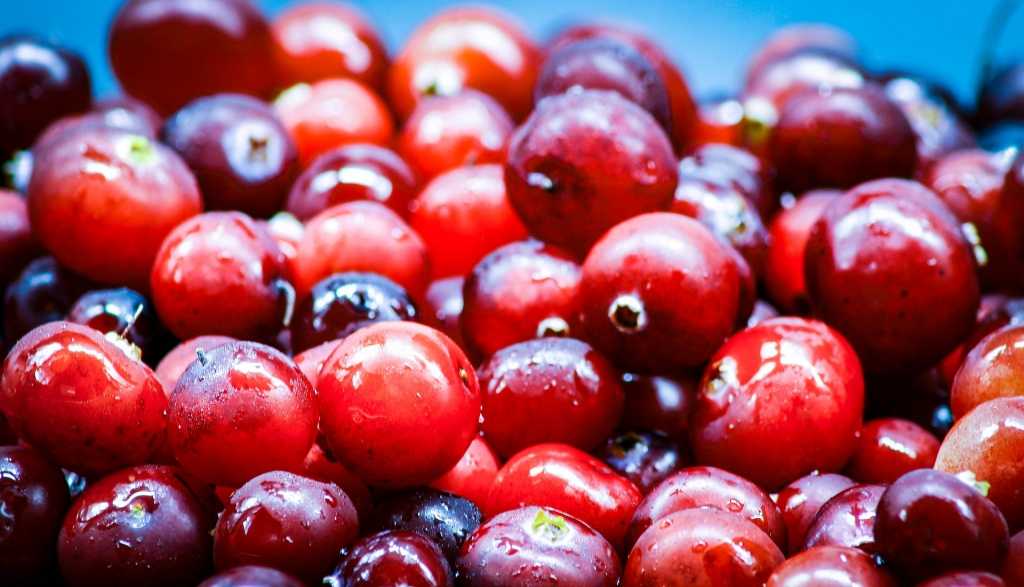 Cranberry