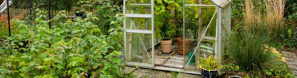 Gewächshaus klein im Garten und auf der Terrasse