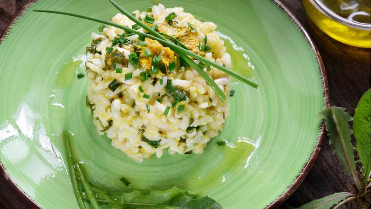 Löwenzahn Risotto auf Teller