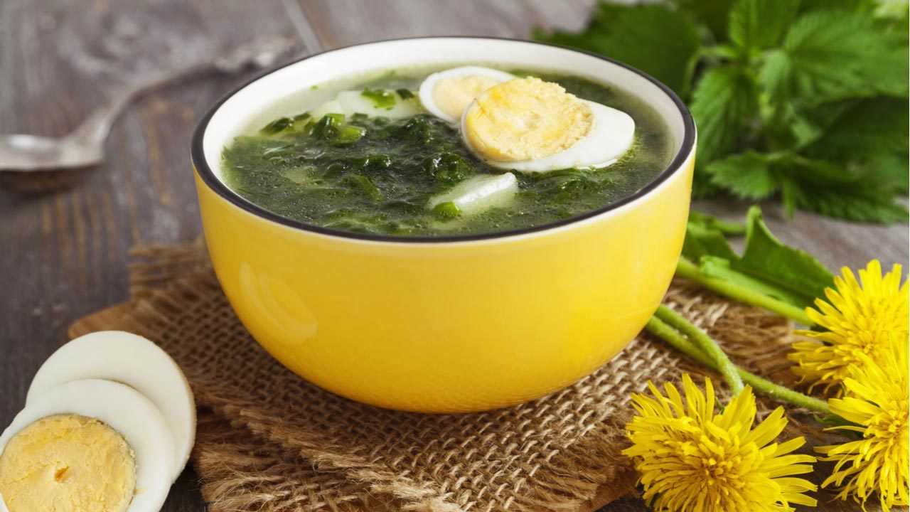 Löwenzahn Suppe auf Holz