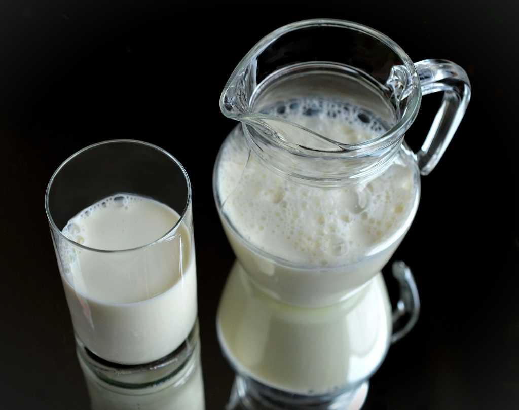 Magermilch oder Molke