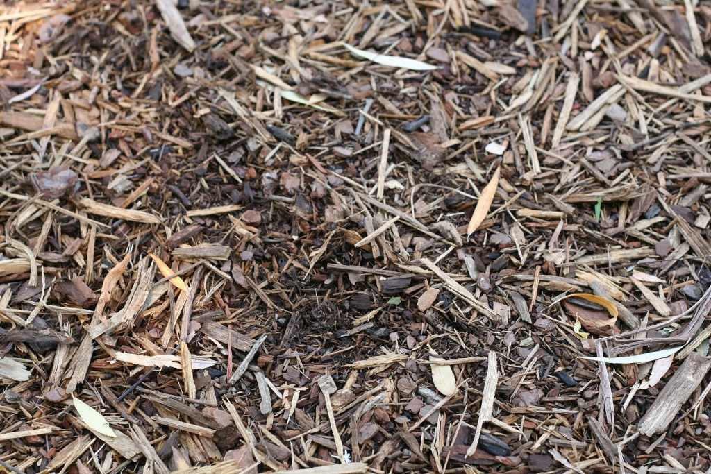 Boden mit Mulchschicht aus Zweigen und Holz.
