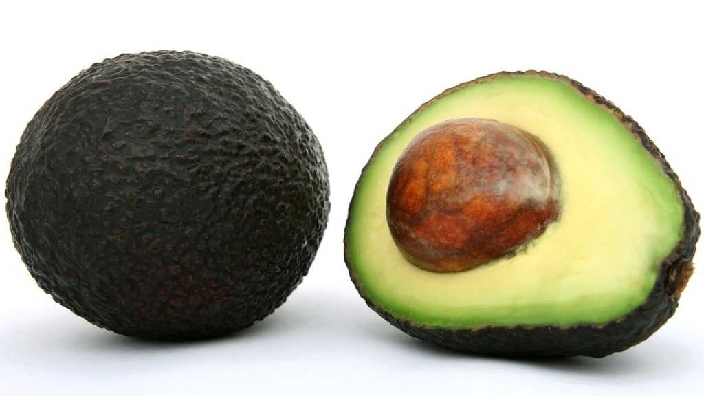 Das in Avocados enthaltene Persin ist für deinen Vierbeiner sehr giftig und kann sogar zu Herzmuskelschwäche führen.