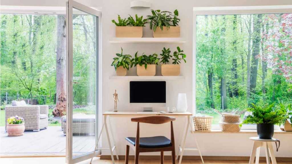 Zimmer mit Pflanzen und einer indirekten Belichtung