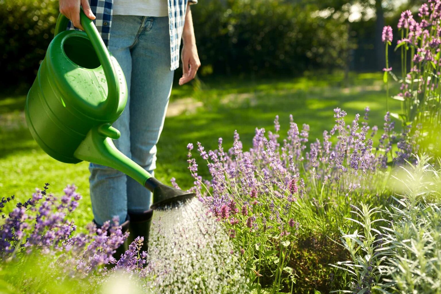 12 Fehler bei der Gartenbewässerung und wie Sie diese ...