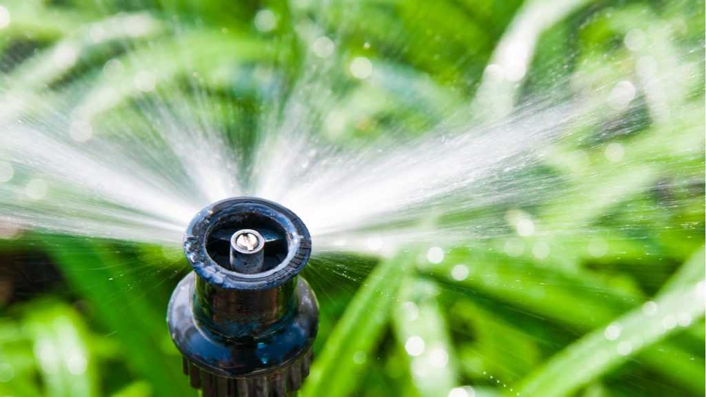 Wasser wird durch Bewässerungssystem gespritzt.