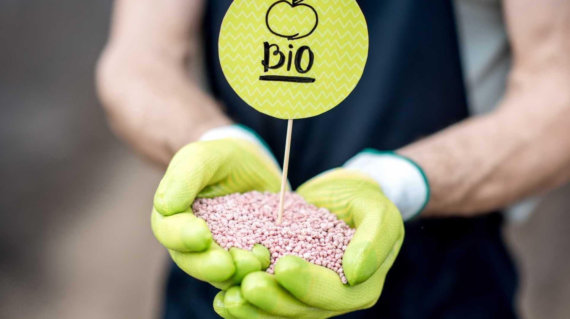 Bio Dünger zum Zimmerpflanzen düngen
