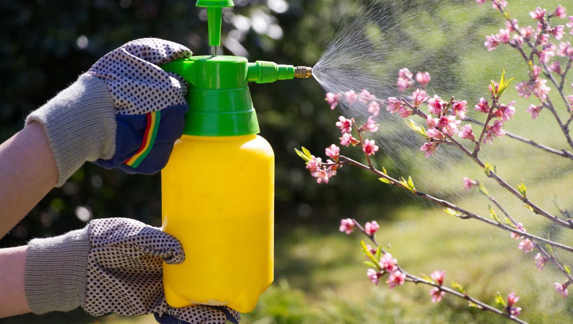 Gartenpflege im Hochsommer mit Dünger