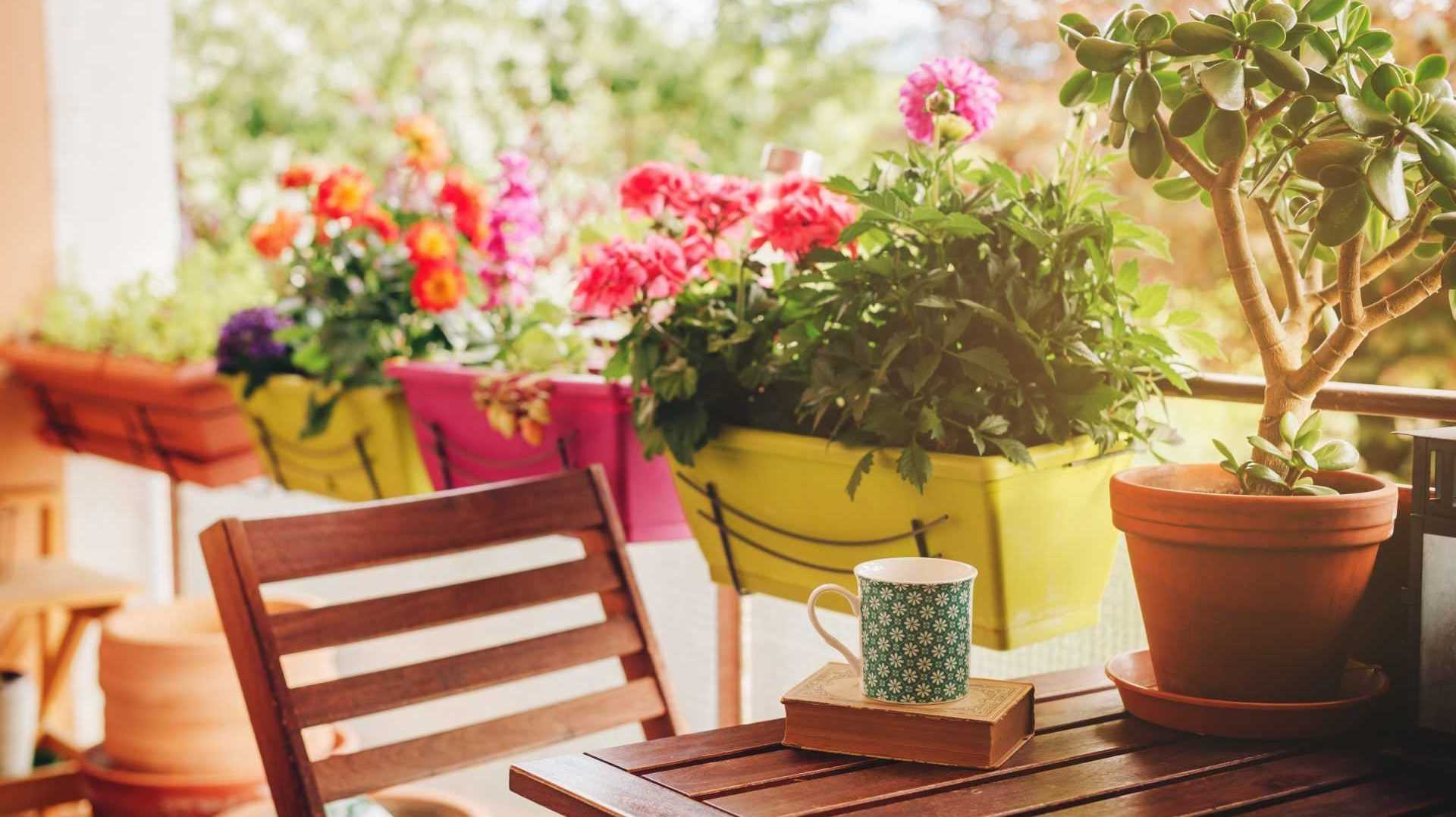 Blumenkästen am Geländer eines Balkons