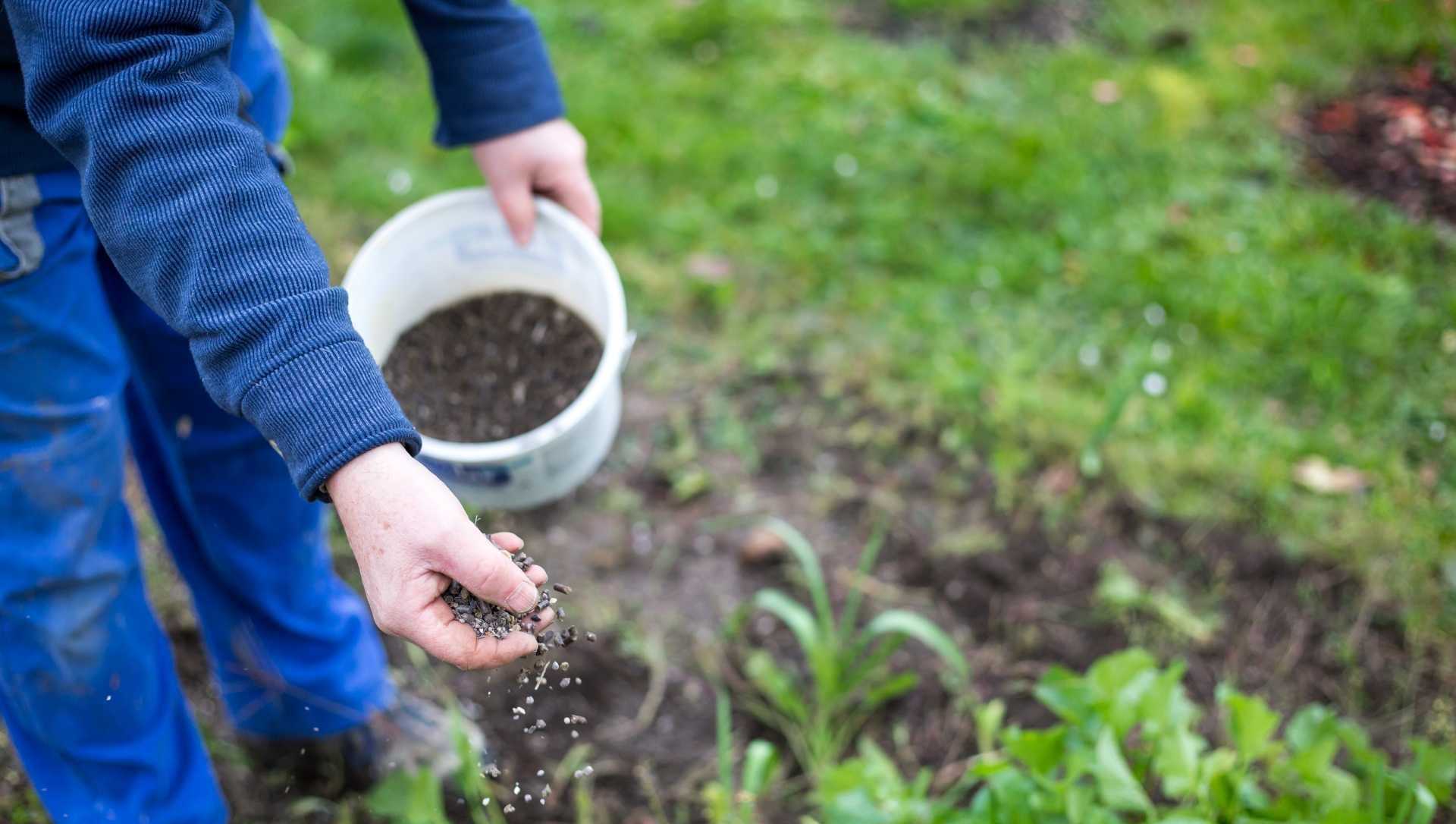 Gartenboden düngen mit organischem Düngemittel