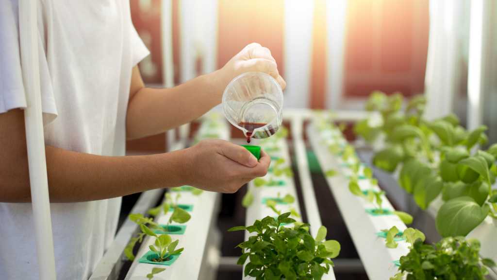 Flüssigdünger ist eines der wichtigsten Hilfsmittel bei der Pflanzenpflege. Egal ob Hobbygärtner oder professioneller Gartenexperte.