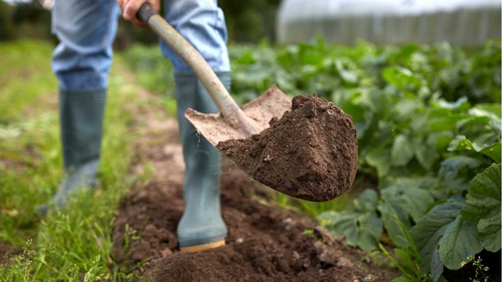 Garten wird gegraben