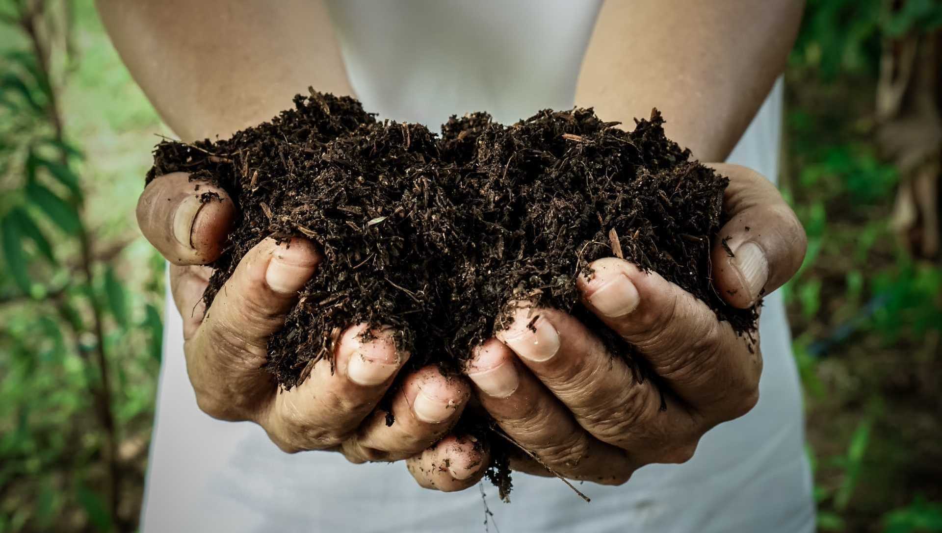 Gartenboden düngen: Person hält Erde in der Hand